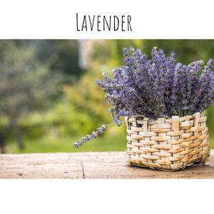 fragrant flowers- lavender