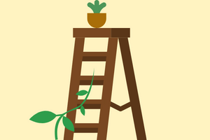 Trellis Ideas- Trellis ladder