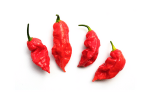 Ghost Pepper is grown in Nagaland