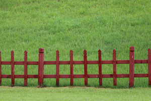Garden Space- Fence