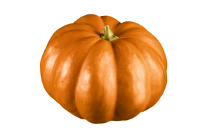 10 Best Vegetables to Grow - Pumpkin